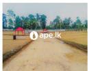 Land For Sale In Kandana